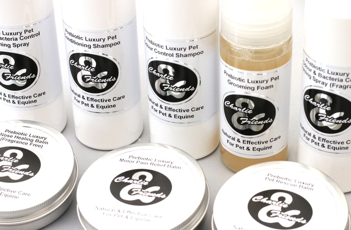 Mood Enhancing Dog Shampoo – Mental Clarity